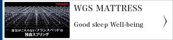 WGS mattress